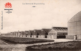 LE SERRES DE STUYVENBERG - CARTOLINA FP NUOVA - Laeken