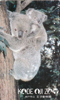 TARJETA DE JAPON DE UN KOALA - KOBE ZOO - Otros & Sin Clasificación