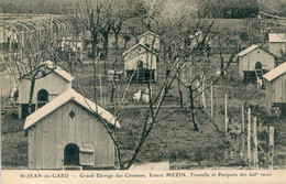 30. GARD - ST-JEAN DU GARD. Grand Elevage Des Cévennes E. Mazin. Tonnelle Et Parquets Des Grdes Races - Saint-Jean-du-Gard