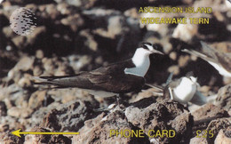 TARJETA DE ASCENSION ISLAND DE UN PAJARO (BIRD-PAJARO) 3CASD - Islas Ascensión