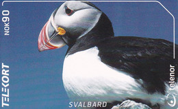 TARJETA DE SVALBARD DE UN FRAILECILLO  (BIRD-PAJARO) - Otros & Sin Clasificación