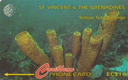 TARJETA DE ST. VINCENT & GRENADINES DE 10$ DE YELLOW TUBE SPONGE (142CSVB) - San Vicente Y Las Granadinas