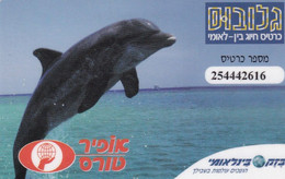 TARJETA DE ISRAEL DE UN DELFIN (DOLPHIN) - Dolfijnen