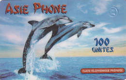 TARJETA DE FRANCIA DE UN DELFIN (DOLPHIN) - Delphine