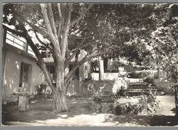 CPSM 83 - Montauroux - La Marjolaine - Maison De Repos Et De Convalescence - Un Coin Du Parc - Montauroux