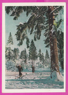 288481 / Russia - Winter Sport Skiing Ski Sci Skifahren Skien  Men Mountain PC 1957 USSR Russie Russland Rusland - Sports D'hiver