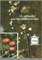 CPM - Ces Plantes Qui Vous Veulent Du Bien - Aubépine - Medicinal Plants