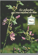 CPM - Ces Plantes Qui Vous Veulent Du Bien - Mauve - Heilpflanzen