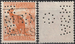 AUSTRALIE Australia 110a (o) Kangourou Kangaroo Perforé Perfin Gelocht Lochungen - Oblitérés