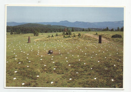 67 Bas Rhin Le Champ De Feu 1992 Par Daniel Pontoreau Fonte De Fer Et Marbre Du Rajasthan Ed Arts Plastiques Strasbourg - Sonstige & Ohne Zuordnung