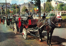 Paris 8ème * Les Fiacres , Au Rond Point Des Champs élysées * Attelage Cocher Chevaux * Autobus - District 08