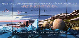 RUSSIA, 2021, MNH, ARCTIC, BIRDS, ARCTIC TOURISM, SHEETLET OF 2v - Autres & Non Classés