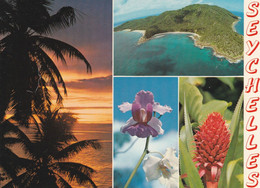 SEYCHELLES -  CARTOLINA - MAHE - SEYCHELLES - Seychelles