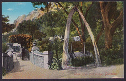 Gibraltar - Whale Jaws Arch Bridge - Gibraltar