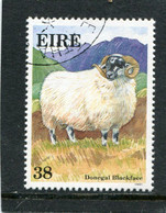 IRELAND/EIRE - 1991  38p  SHEEPS   FINE USED - Used Stamps