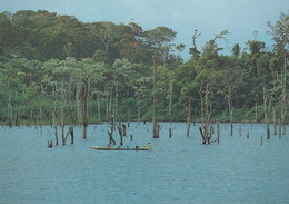 COSTA D' AVORIO -  AYAME' - CARTOLINA -  LAGHI E FIUMI AVORIANI CON LE LORO TIPICHE CANOE - Côte-d'Ivoire