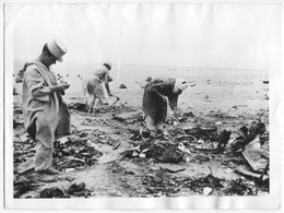 Algeria Sahara Zaret - Airplane Accident Crash, Associated Press Photo Larger Format 21 X 15,5 Cm - Unfälle