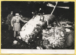 Bulgaria  - Airplane Accident Crash, Real Photo Larger Format 18 X 13 Cm - Incidenti