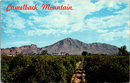 Arizona Camelback Mountain Near Phoenix 1961 - Phoenix