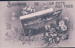 Souvenir De La Côte Aux Fées NE Et Des Fleurs (13.7.1906) - La Côte-aux-Fées