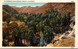 California Picturesque Palm Springs Canyon - Palm Springs