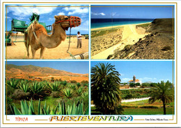 (4 Oø 25) Spain Posted To Australia ? - Fuerteventura Canary Islands (SWISS POST Stamps Used As Postage) 17x12 Cm - Fuerteventura
