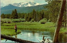 Montana Miners Creek Near Jackson - Altri & Non Classificati