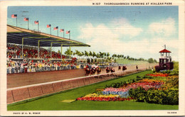 Florida Miami Thoroughbreds Running At Hialeah Park Horse Racing 1936 Curteich - Miami