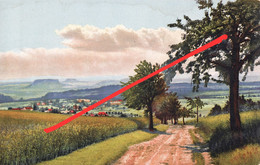 NOD Photochromie AK Blick Rathewalde Von Napoleonlinde Sächsische Schweiz Serie 299 Nr 4569 Nenke Ostermaier Dresden - Hohnstein (Sächs. Schweiz)