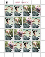 Sierra Leone 2022, WWF, Flamingo, Reprinted, 16val In Sheetlet - Fenicotteri