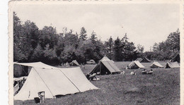 AVE ET AUFFE TARAIN DE CAMPING - Rochefort