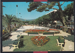 83 - Cavalaire Sur Mer - Le Jardin - Cavalaire-sur-Mer