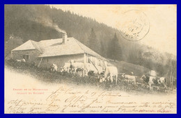 * DISTRICT D'ORBE - Chalet De La MATHOULAZ - Flancs De Suchet - Troupeau De Vaches - 138 - Edit. DERIAZ - 1901 - Orbe