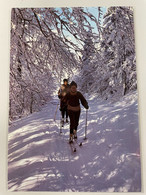 CPM - Ski De Fond Dans Les Vosges - Flamme LA BRESSE HONNECK 1989 - Sports D'hiver