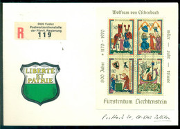 Liechtenstein 1978 Registriertes Sonderkouvert Mi Block 8 - Briefe U. Dokumente