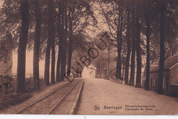 Postkaart/Carte Postale - Beringen -  Diesterschesteenweg - Tramspoor  (C3644) - Beringen