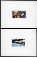 DJIBOUTI 2 Epreuves De Luxe De La Poste Aérienne Sur Papier Glacé N° 231 Et 232 CONQUETES SPACiALES - Afrika