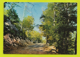 30 GENOLHAC Vers Chamborigaud Sous Bois Route Du Mont Lozère - Chamborigaud