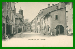 * La Rue à COPPET - Animée - J.J. 1876 - Edit. JULLIEN Frères - Coppet