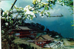 FORMOSE-PEAR FLOWERS GLARE UPON THE GUEST HOUSE -LI SHAN STATION-CROSS-ISLAND HIGH WAY - Formosa