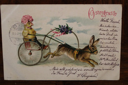 AK 1902 Animaux Poussin Poule Lièvre Lapin Cocher Humanisé Cpa Pâques Ostergruss Gebweiler Colmar Elsass - Gekleidete Tiere