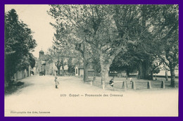 * COPPET - Promenade Des Ormeaux - Animée - 1670 - Photographie Des Arts - Coppet