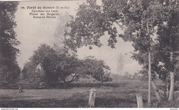 91 - Forêt De Sénart - Carrefour Aux Cerfs - Plaine Des Bergeries - Route Du Détroit - - Sénart