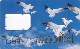 TARJETA DE ESLOVENIA DE UNAS GAVIOTAS (GAVIOTA-BIRD-PAJARO) GSM - Otros & Sin Clasificación