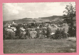 GO169   CPSM  ANOULD  (Vosges)  Vue  Générale  +++++++ - Anould