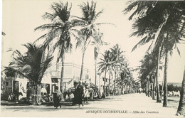 CPA -Afrique Occidentale - Allée Des Cocotiers - Enfants