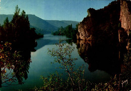 Aux Environs Des Eyzies Un Aspect Calme Et Reposant De La Dordogne        CPM Ou CPSM - Les Eyzies