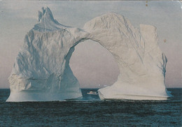 Iceberg At Bay Bulls, Near St. John's. In Spring & Summer, Thousands Of  Icebergs Drift Southwards Past Newfoundland - St. John's