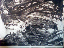 MONACO MONTECARLO JADIN GARDEN EXOTIQUE  2 MAXY FOTO CARD  VB1960 JG8859 - Jardin Exotique