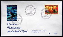 Greenland 1999 Cover  Minr.345  KANGERLUSSUA   (lot  787 ) - Briefe U. Dokumente